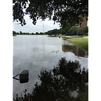 Hurricane Florence  image